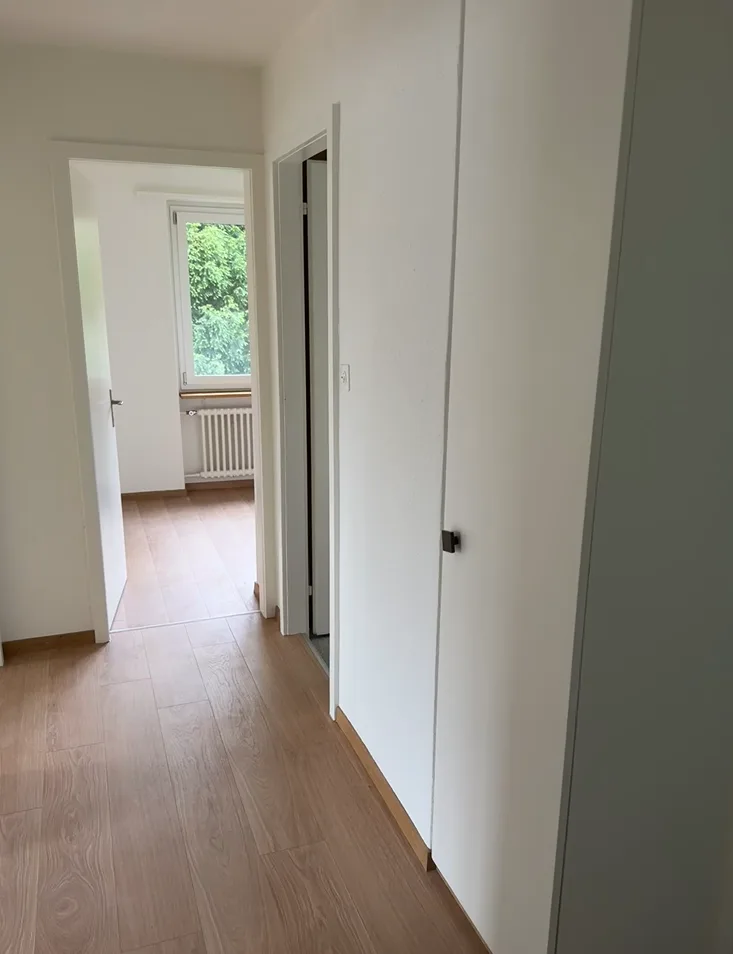 Appartamento di 3.0 locali appena ristrutturato in affitto in un quartiere tranquillo!