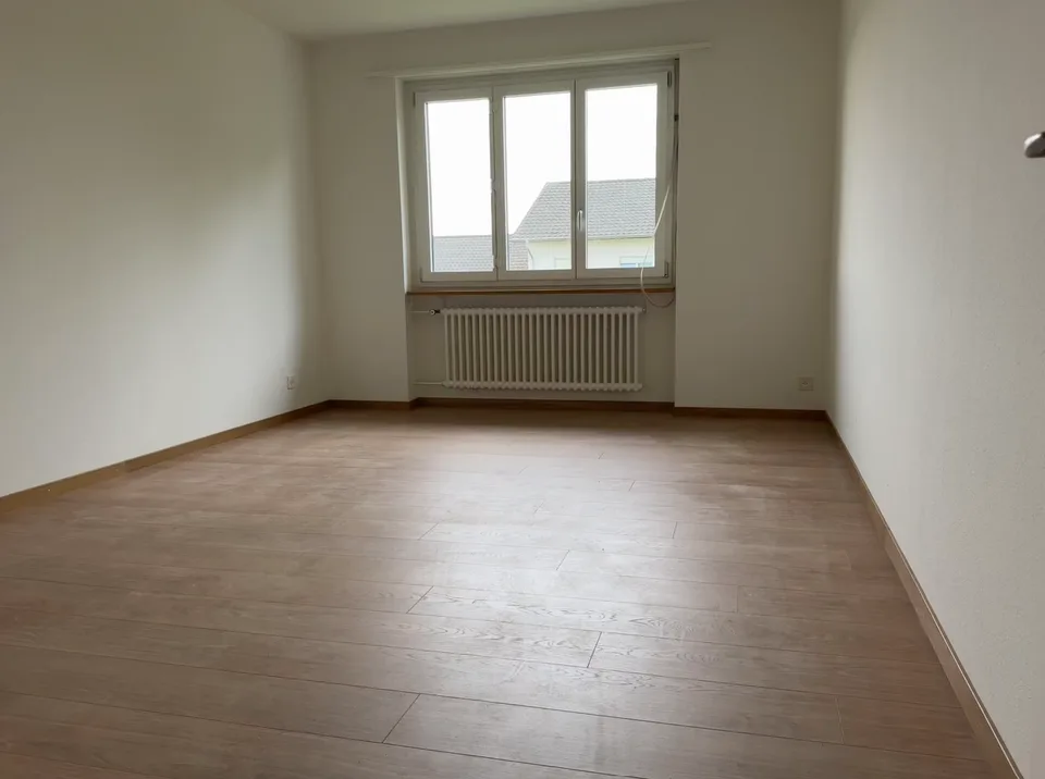 Appartamento di 3.0 locali appena ristrutturato in affitto in un quartiere tranquillo!