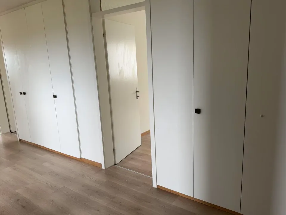 Freshly renovated, bright and large apartment in a quiet neighborhood