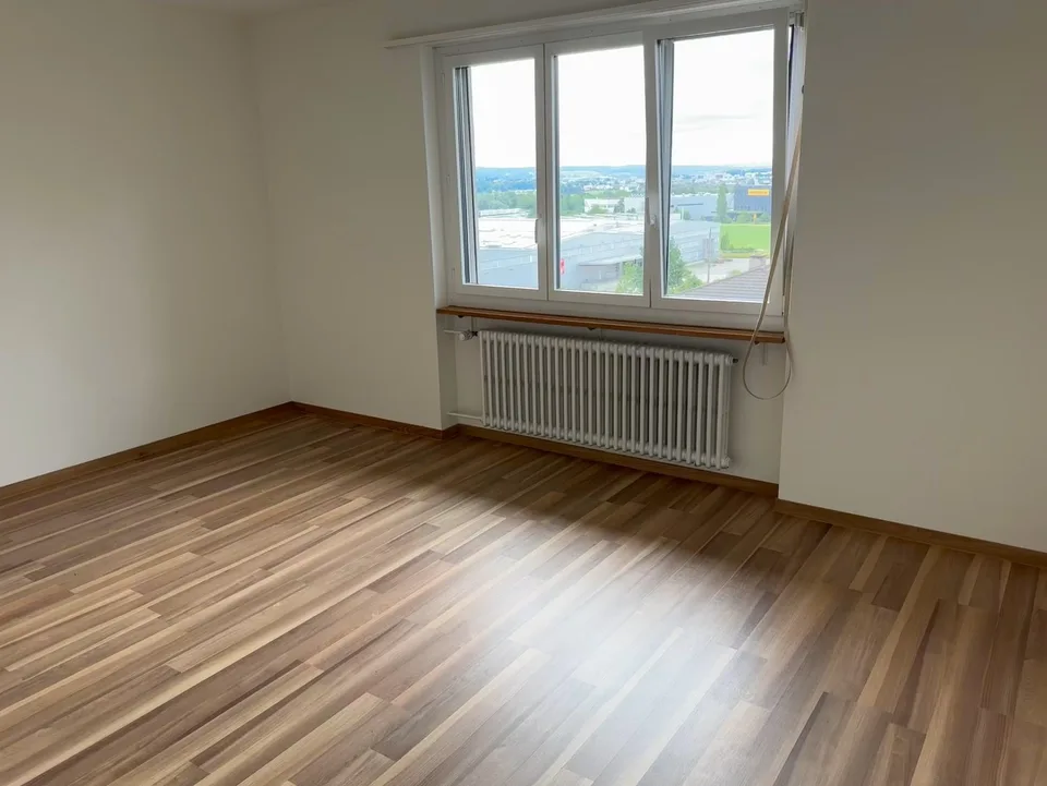 Frisch sanierte, helle und grosse Wohnung in ruhigem Quartier