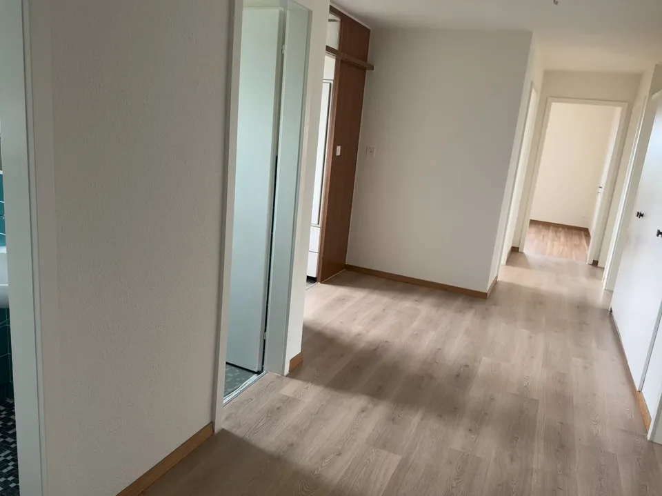 Freshly renovated, bright and large apartment in a quiet neighborhood