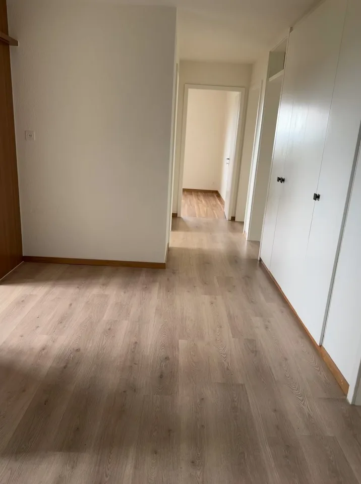 Freshly renovated, bright and large apartment in a quiet neighborhood