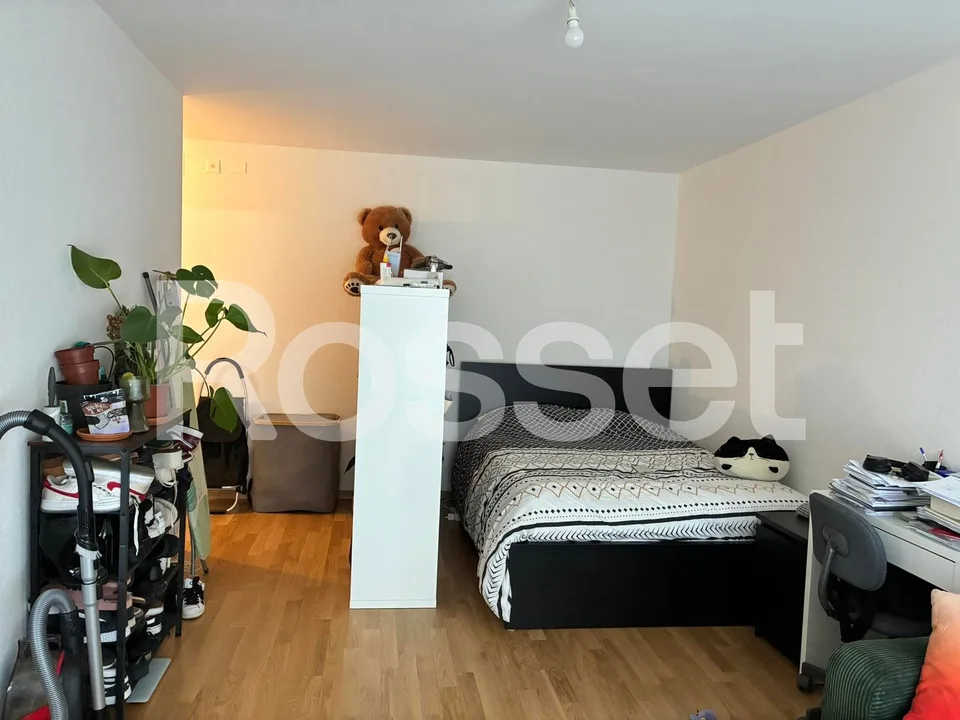 1.5 room apartment on the 11th floor