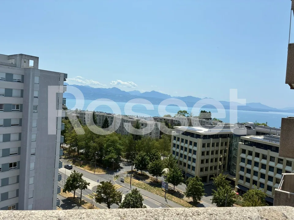 Appartement de 1.5 pièces au 11ème étage