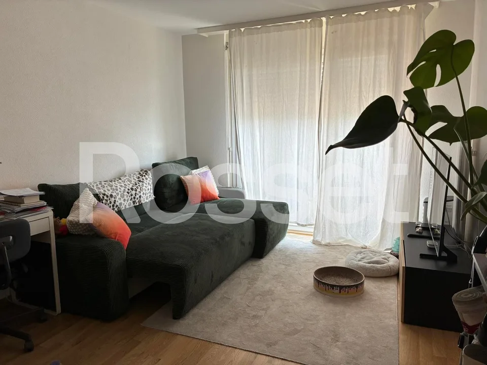 1.5 room apartment on the 11th floor