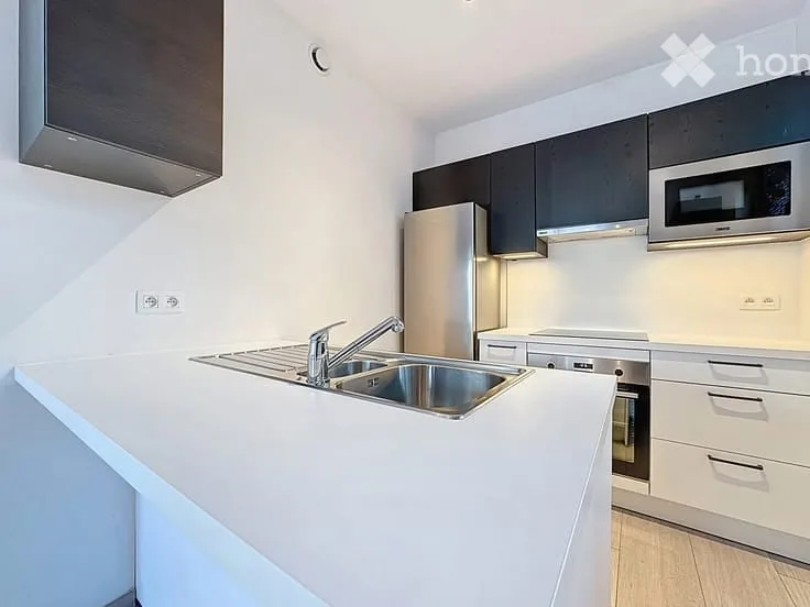 Appartamento di due locali luminoso in affitto – Rue de Carouge, Ginevra 1205