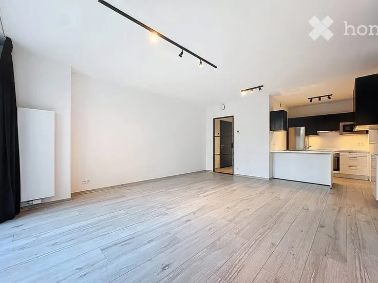 Appartamento di due locali luminoso in affitto – Rue de Carouge, Ginevra 1205