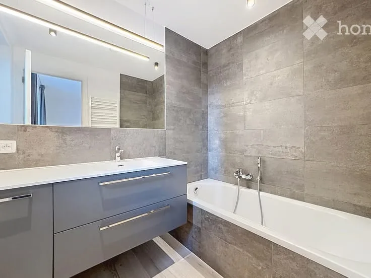 Appartamento di due locali luminoso in affitto – Rue de Carouge, Ginevra 1205