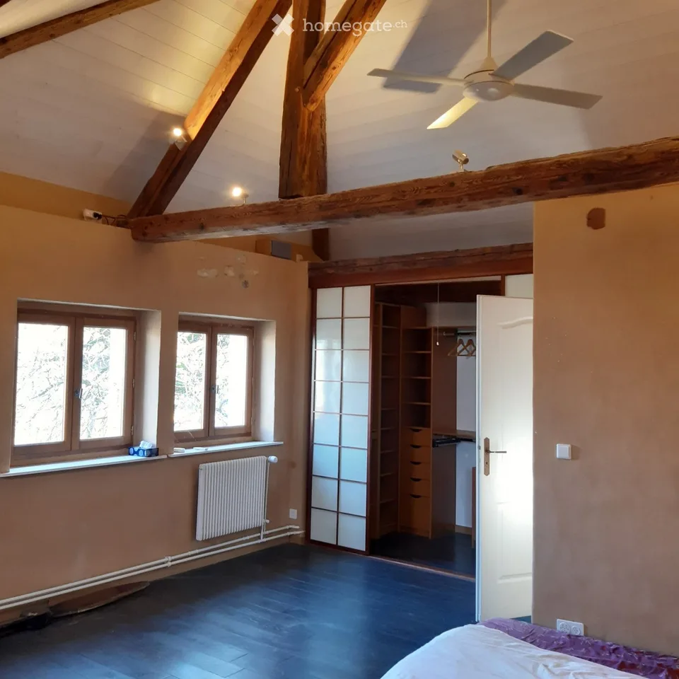 Charmant appartement en attique avec jardin à Meyrin village