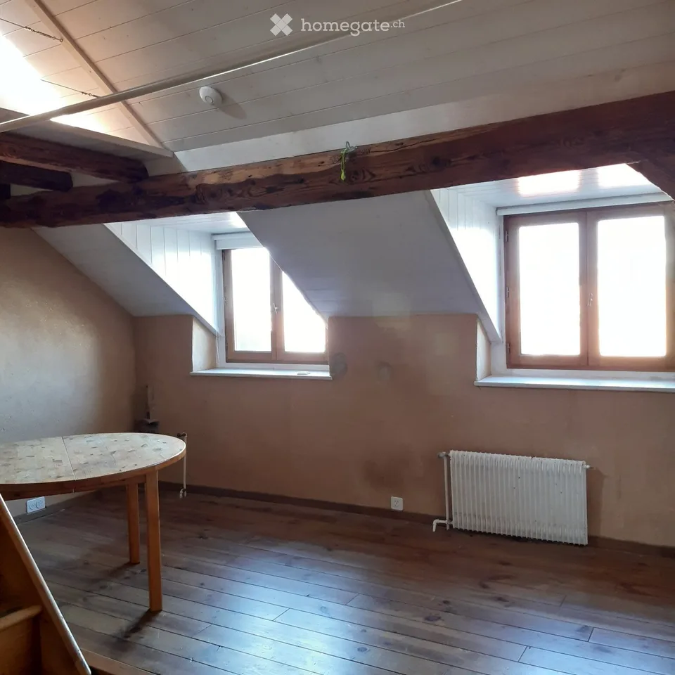Delizioso appartamento mansardato con giardino a Meyrin village