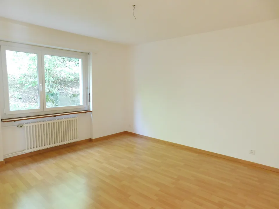 Zona residenziale centrale e assolutamente tranquilla a Olten – foto 9 di 10