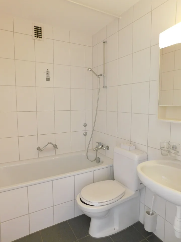 Zona residenziale centrale e assolutamente tranquilla a Olten – foto 8 di 10