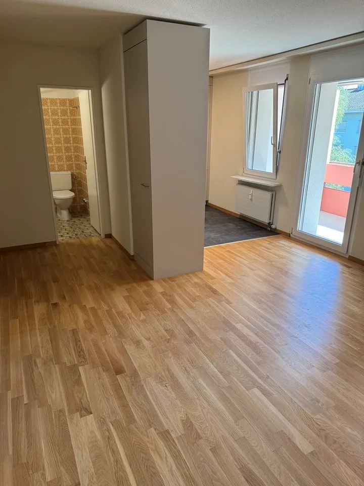 Renovated apartment in a quiet green location
