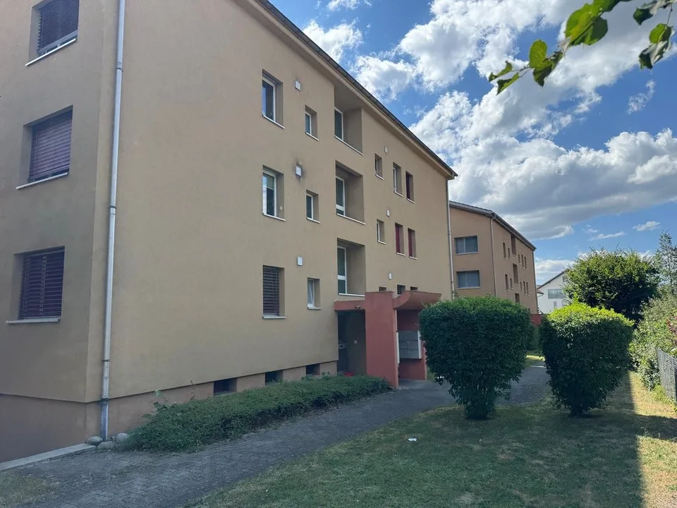 Renovated apartment in a quiet green location