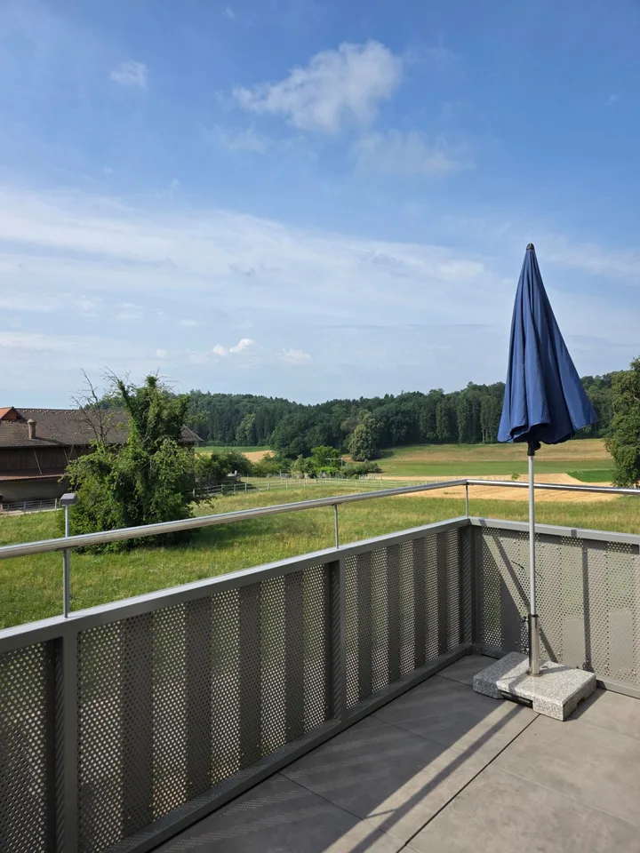 Appartamento mansardato moderno 4.5 locali a Wil ZH