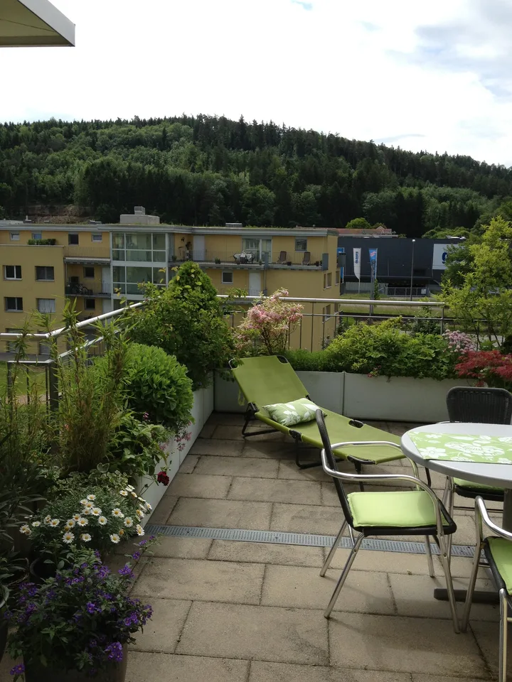 Charmant appartement attique 4.5 pièces avec vue à Winterthur Hegi