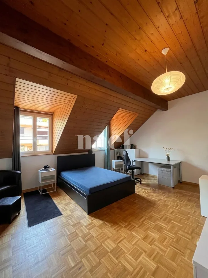 Appartamento di 2.5 locali, mansardato, altezze soffitto, con balcone