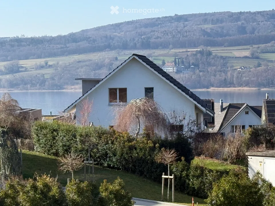 Idillio Minergie indipendente con vista da sogno sul lago Untersee