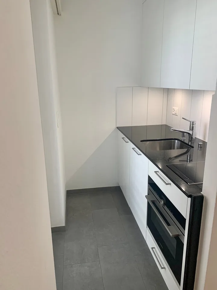 Appartement single confortable dans un emplacement attractif à Zurich Höngg!