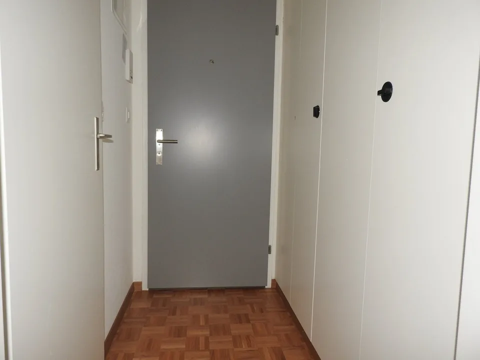 Appartement single confortable dans un emplacement attractif à Zurich Höngg!