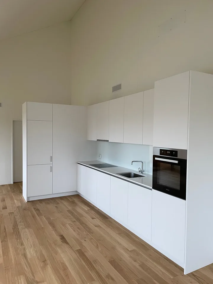 Appartement spacieux et moderne de 2.0 pièces (studio) à louer à Höri !