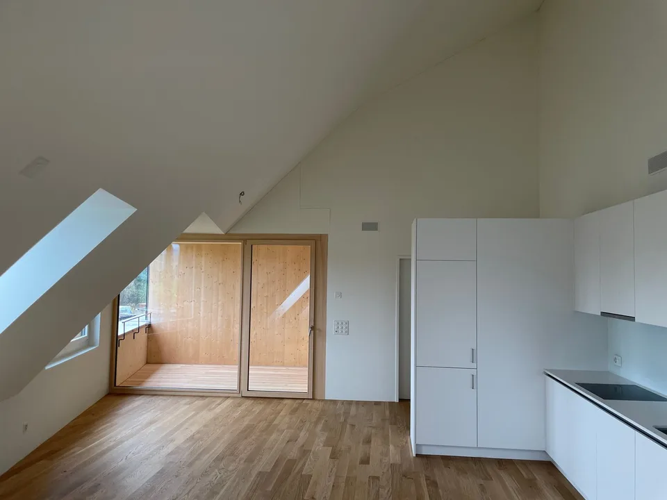 Appartement spacieux et moderne de 2.0 pièces (studio) à louer à Höri !
