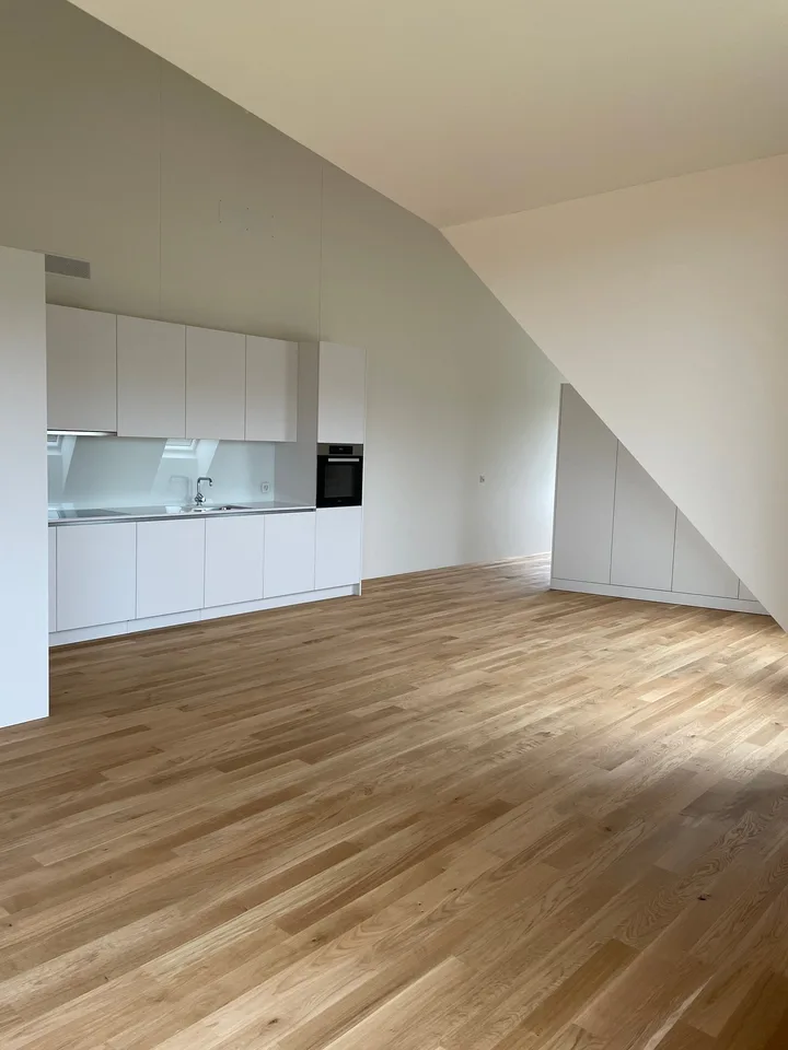 Appartement spacieux et moderne de 2.0 pièces (studio) à louer à Höri !
