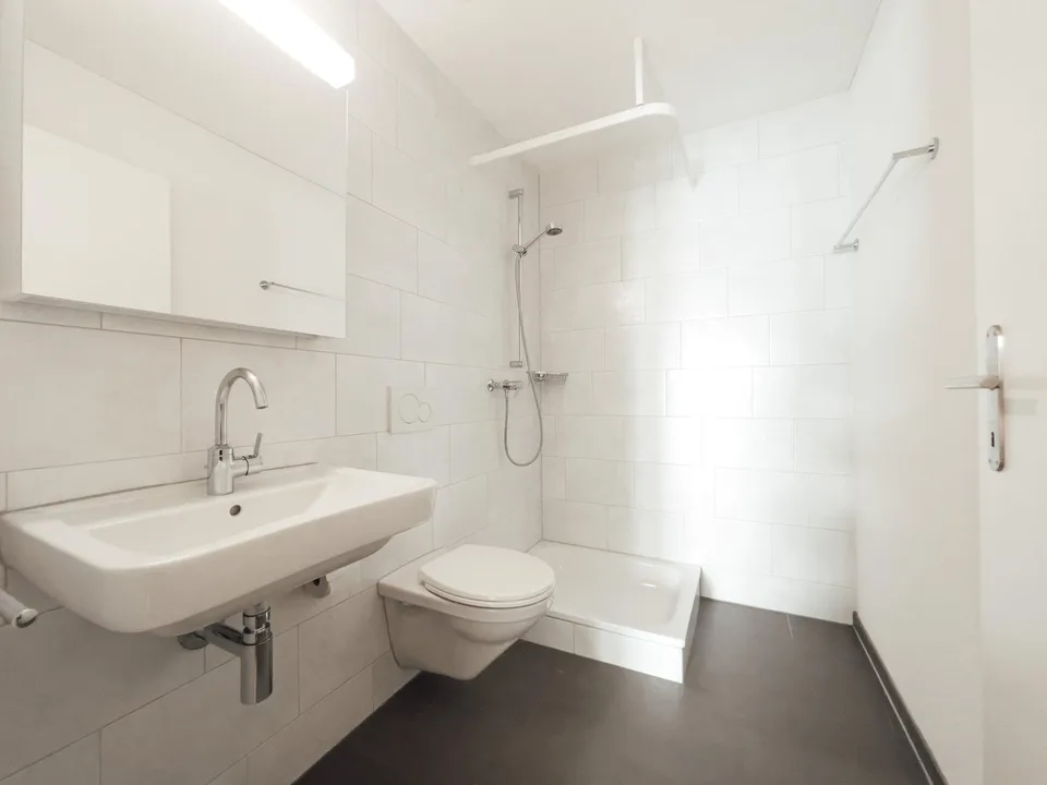 Charming 3.5 room apartment in Neuenhof