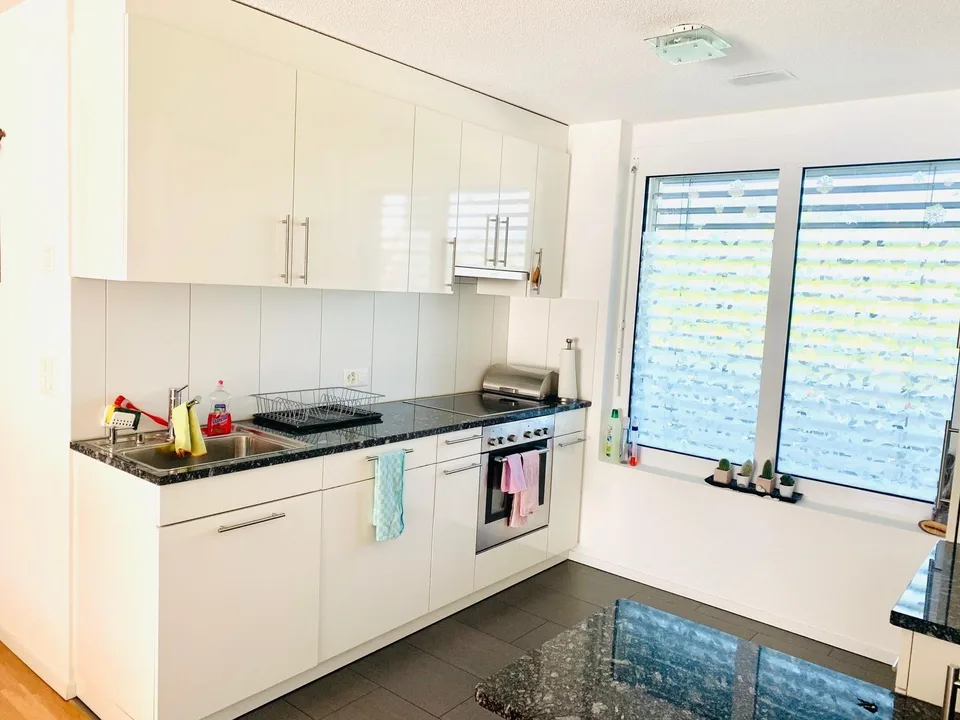 Charming 3.5 room apartment in Neuenhof