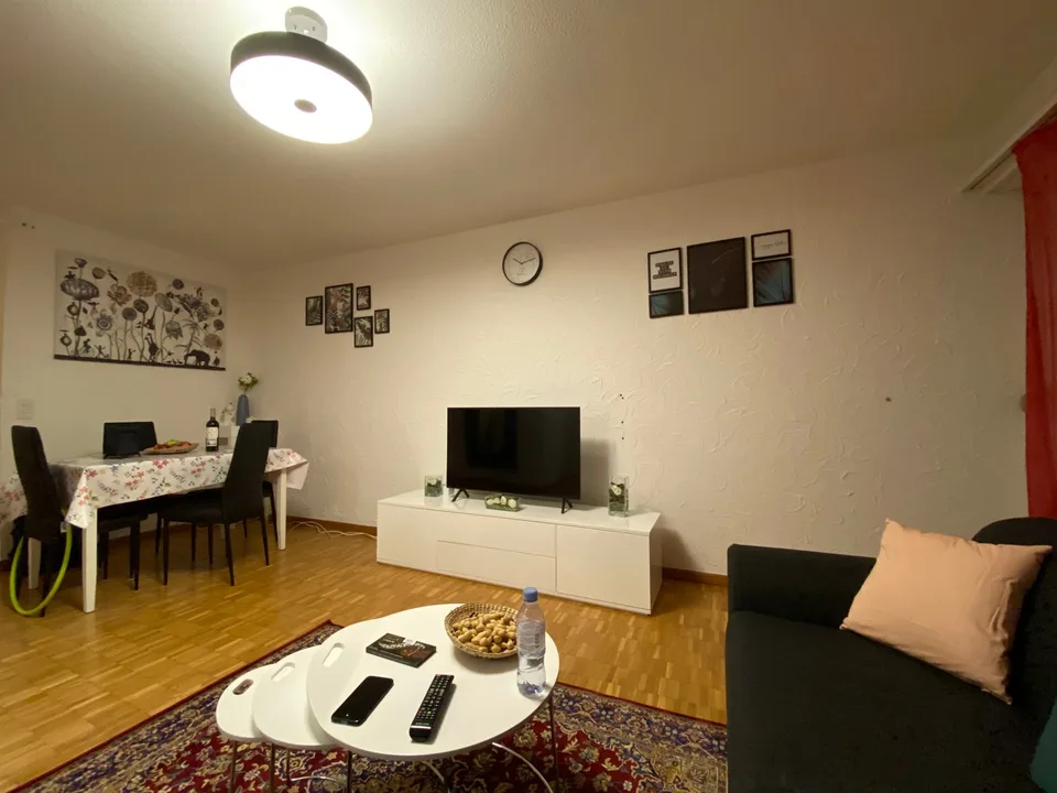 🌇 Fully Furnished 2.5-Room Apartment in Opfikon | Short-Term Rental | Balcony | Private Laundry