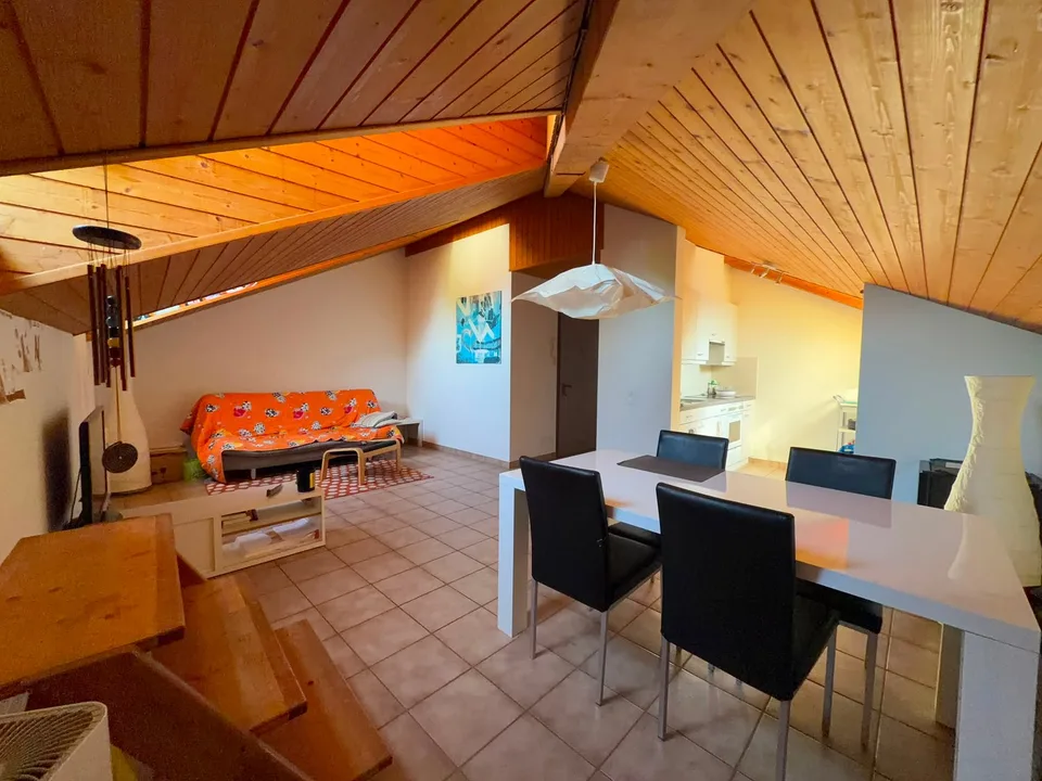 Bellinzona – Centralissimo 2.5 locali con ascensore e soffitti in legno a vista