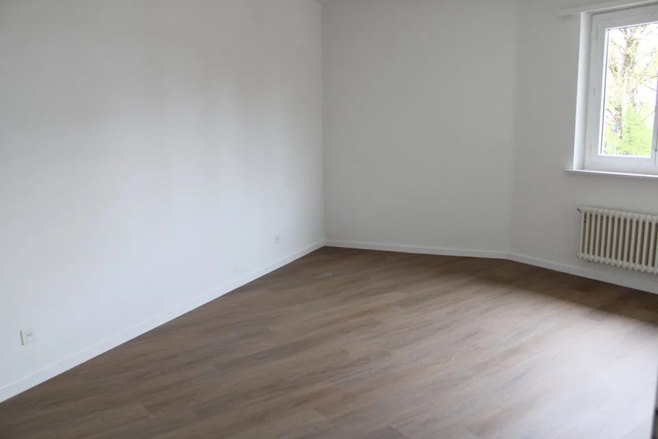 Beautiful renovated 2.5-room apartment