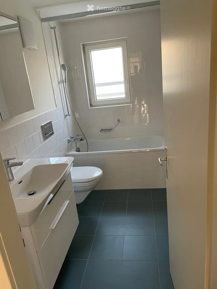 Bel appartement de 3 pièces, calme et bien situé, à louer