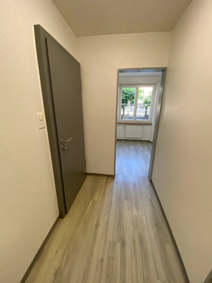 Bel appartement de 1,5 pièces au 3e étage