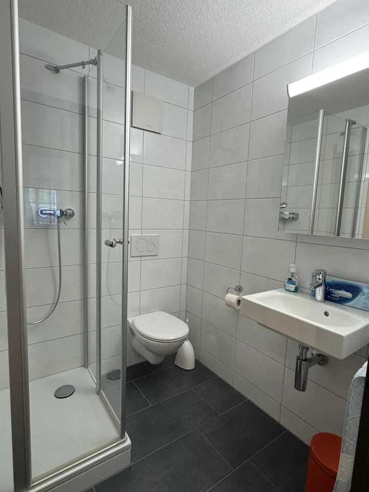 Cozy apartment in a quiet location in Oberriet SG