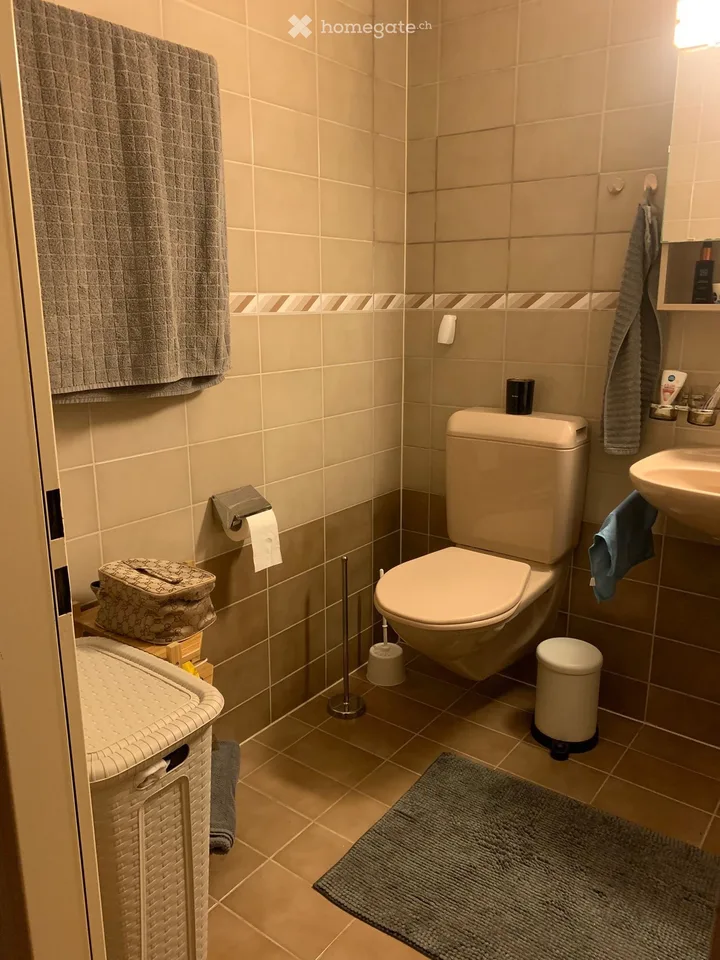 Beautiful 2.5-room apartment for rent