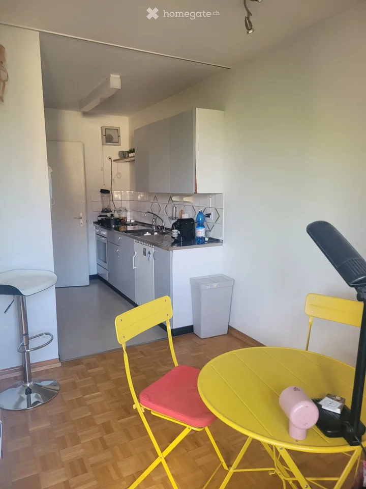 Sonnige Dachwohnung mit Chemine in Mittelhäusern