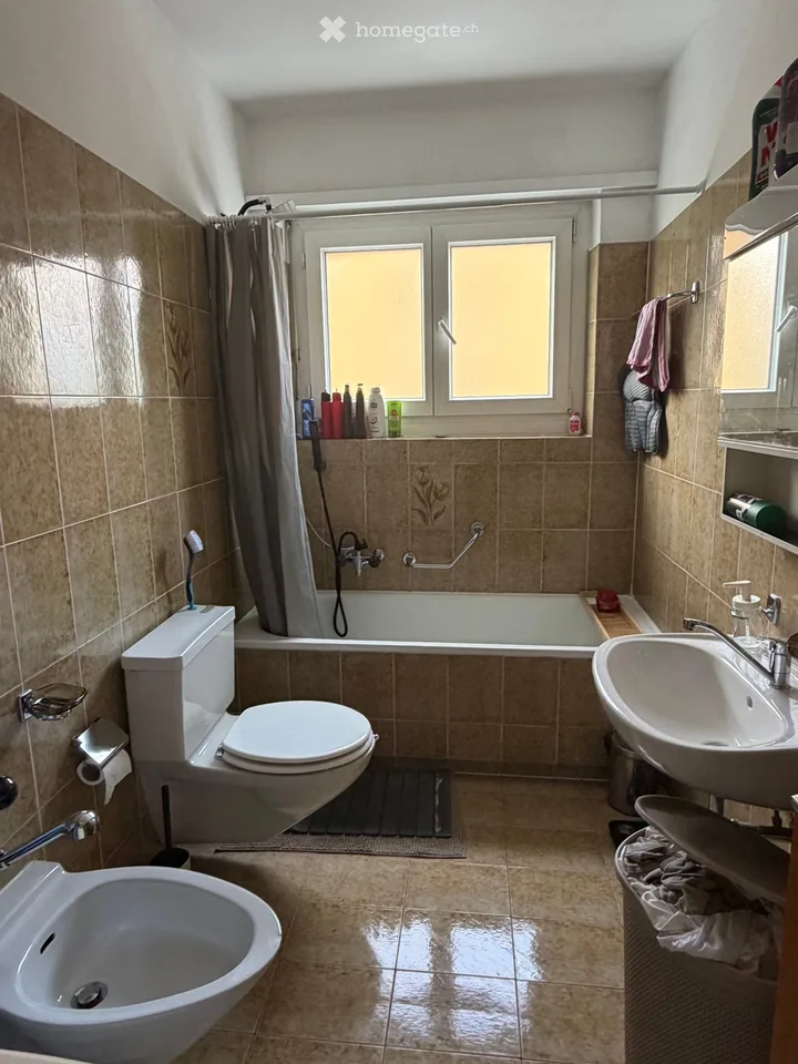 appartement très lumineux 3.5