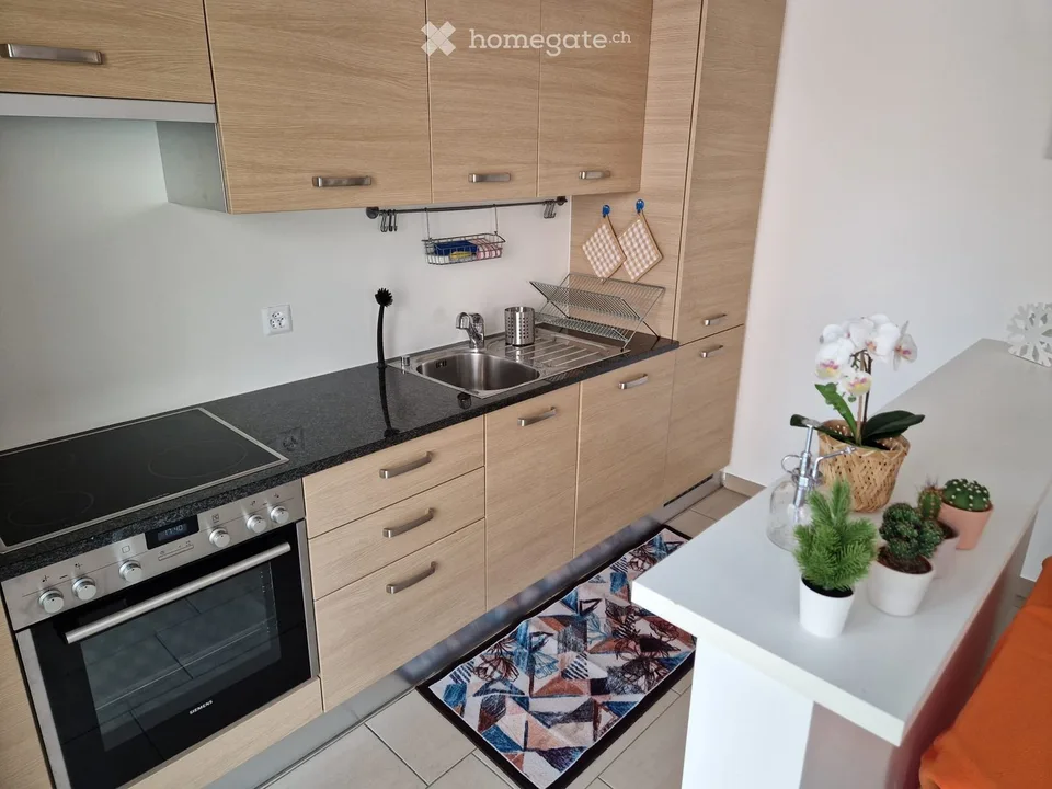 Rent for short periods 2.5 rooms in Lugano