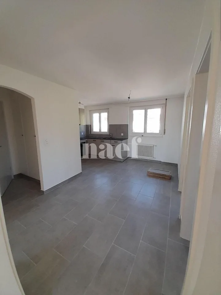 Beautiful bright apartment, completely renovated