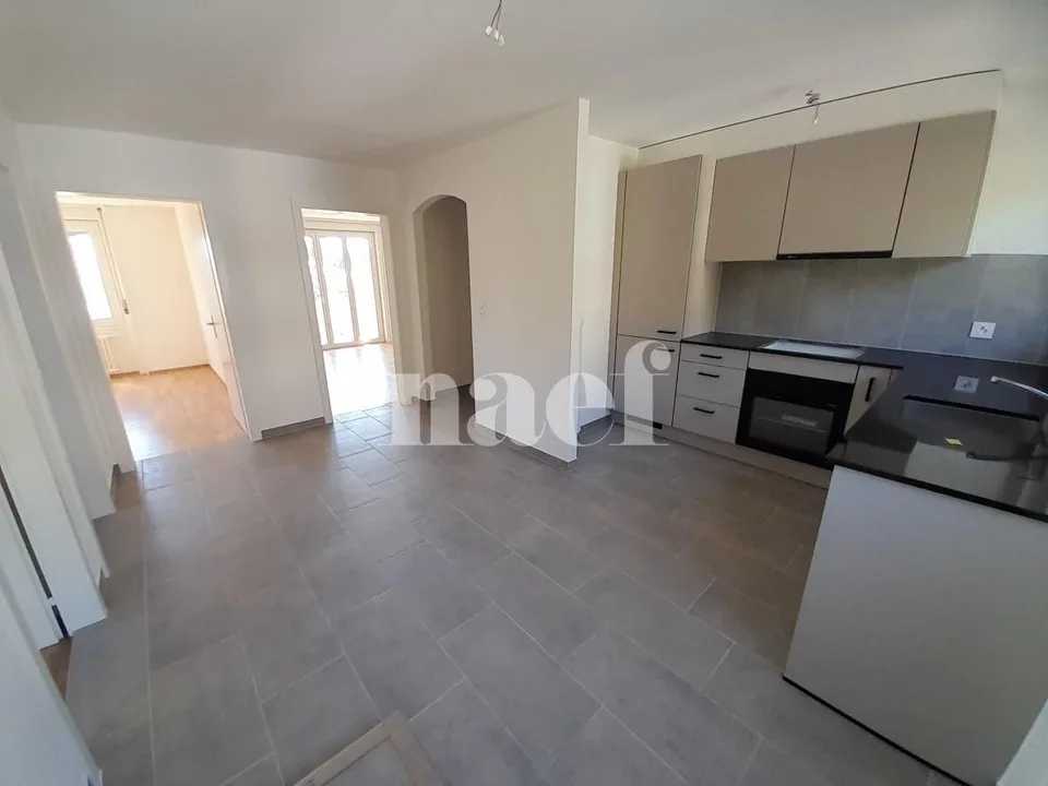 Bel appartement lumineux, entièrement rénové