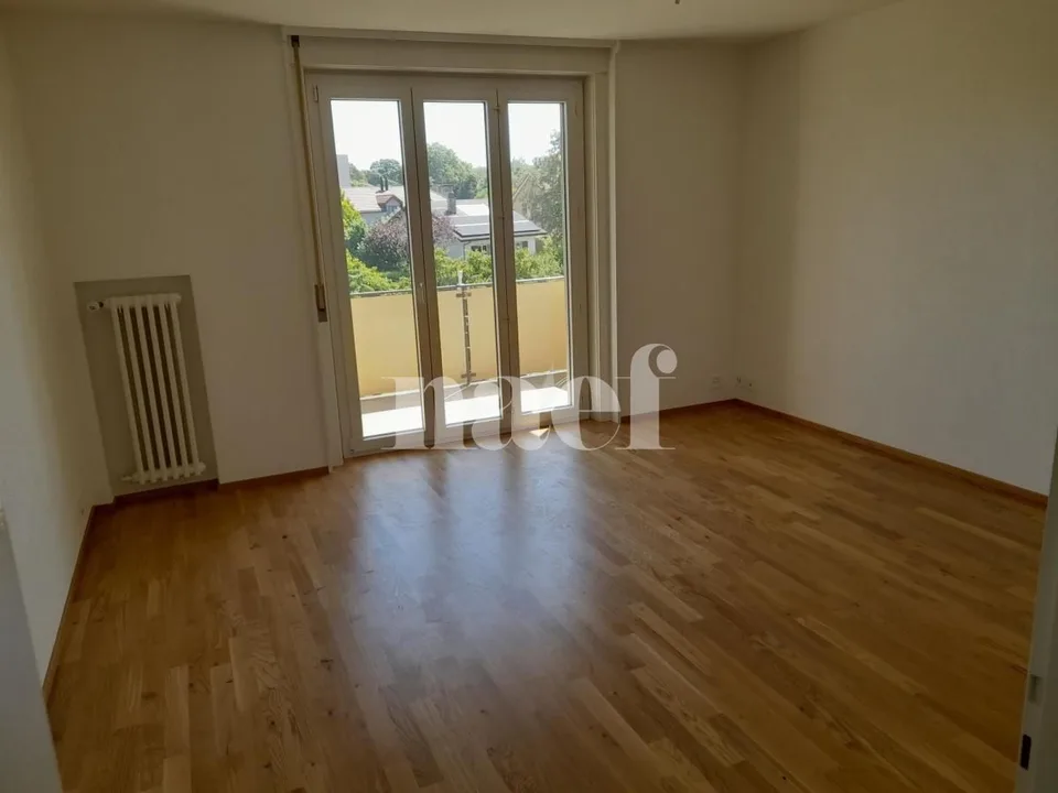 Beautiful bright apartment, completely renovated