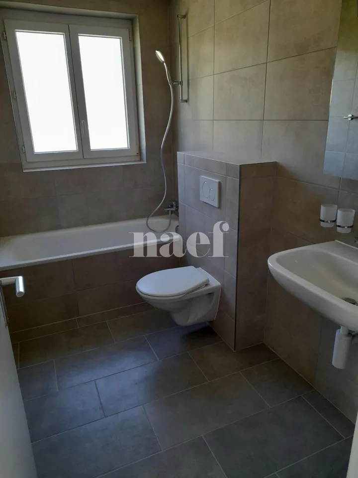 Beautiful bright apartment, completely renovated
