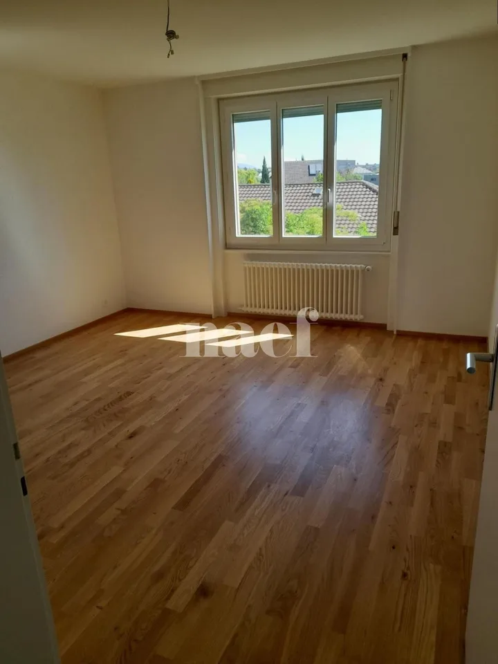 Beautiful bright apartment, completely renovated