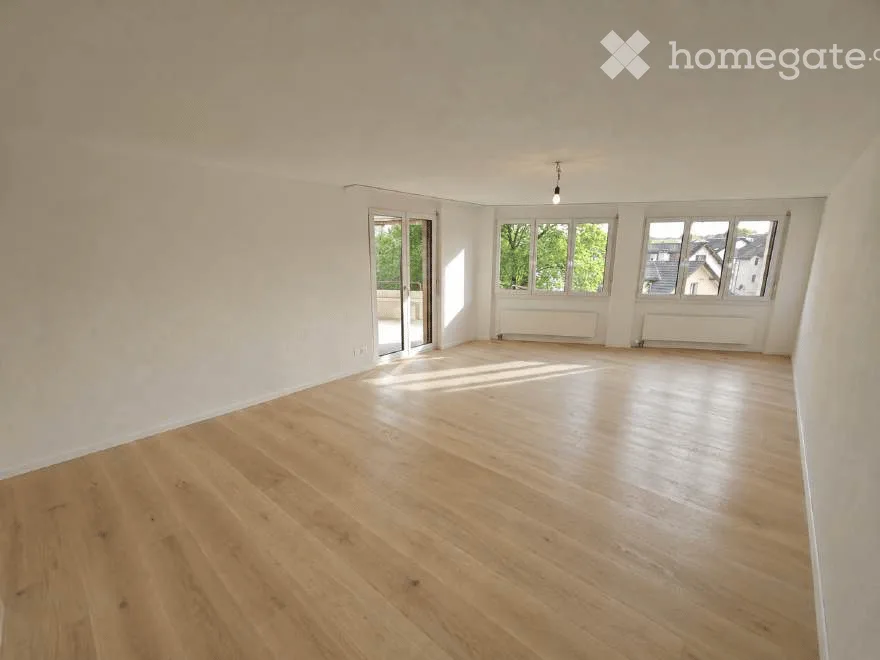 Completely renovated 3.5-room lover's apartment with south balcony - Amriswil, near Lake Constance