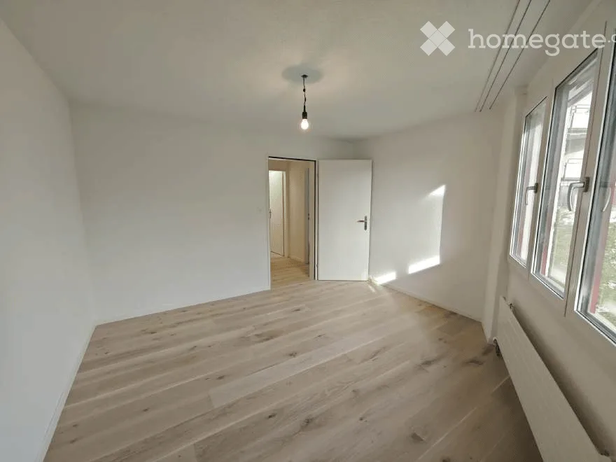 Completely renovated 3.5-room lover's apartment with south balcony - Amriswil, near Lake Constance