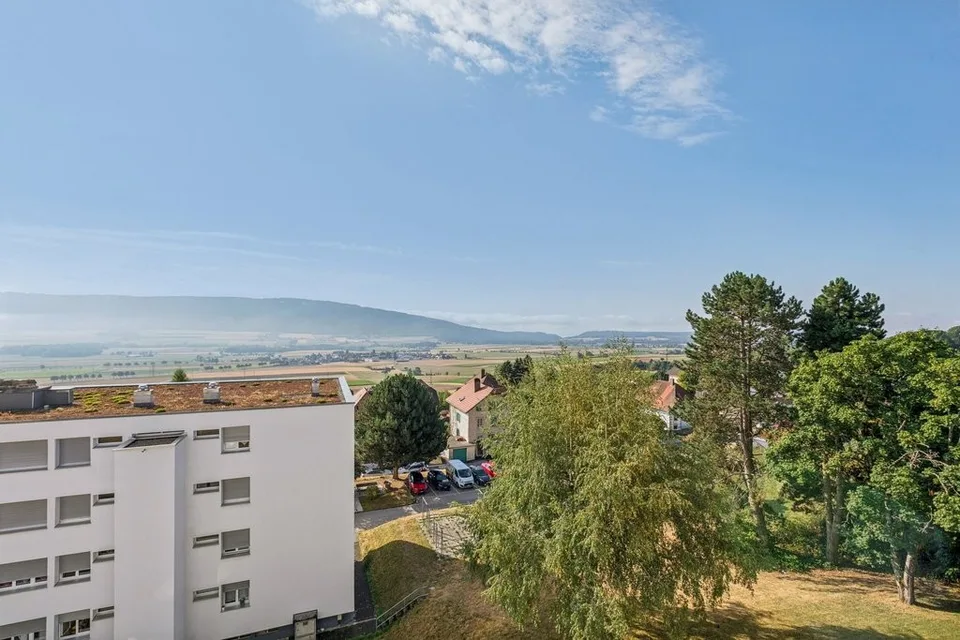Bello appartamento di 3 locali ristrutturato con balcone e bella vista – foto 10 di 10