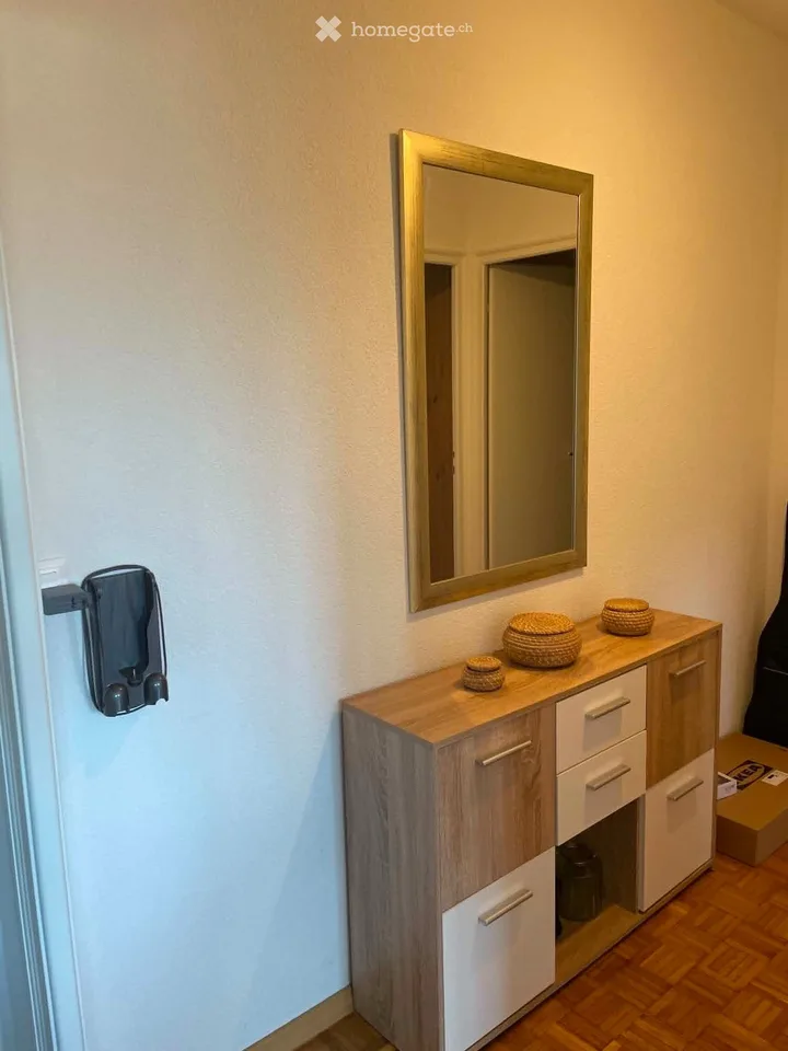 Apartment 2.5 rooms near the lake - Vidy