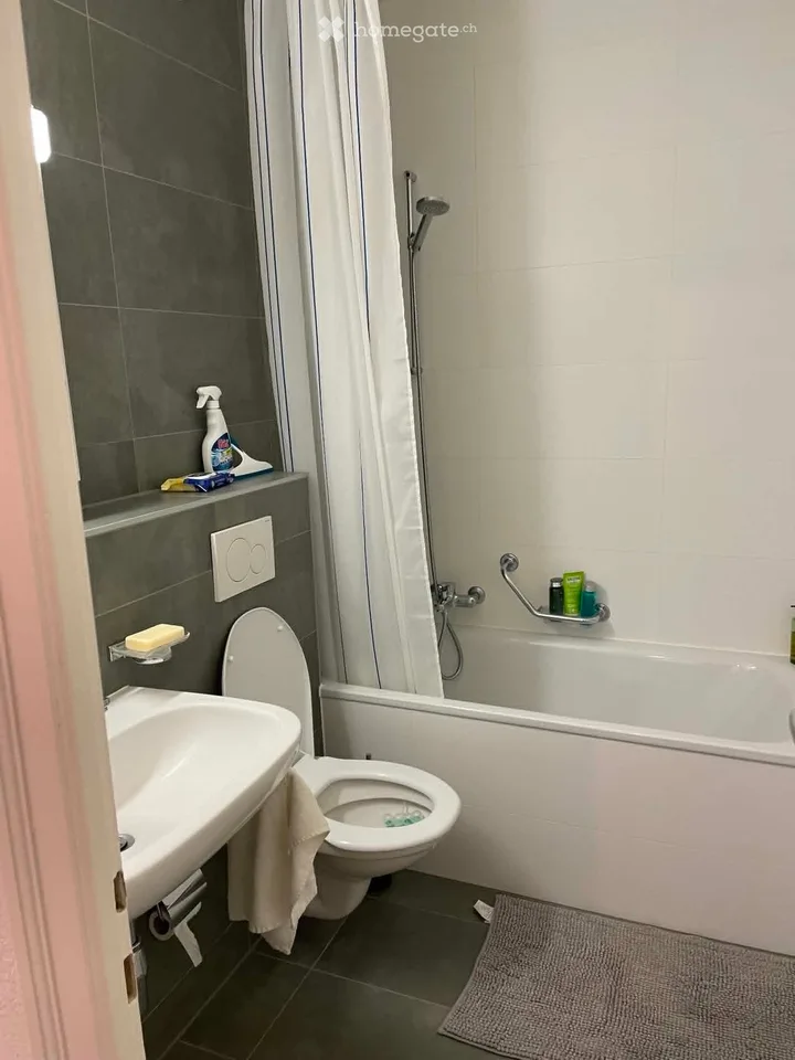 Apartment 2.5 rooms near the lake - Vidy