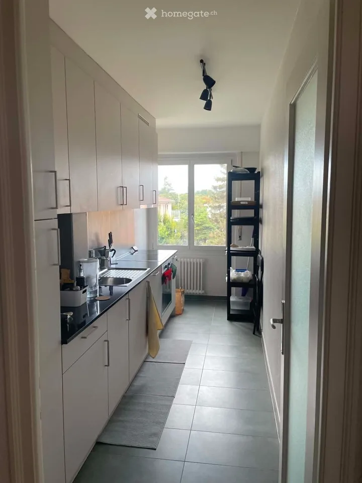 Apartment 2.5 rooms near the lake - Vidy